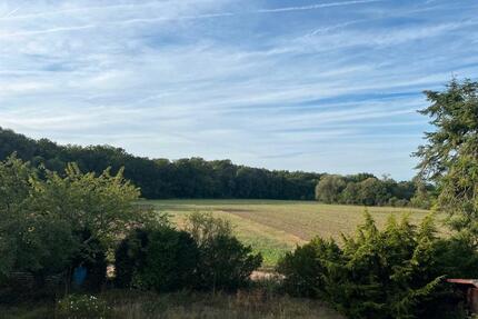 Einfamilienhaus mit Doppelgarage und Einliegerwohnung zum Verkauf - Rodenbach