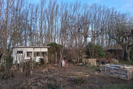 Kleingarten an der Wakenitz (mit VIEL ARBEIT!) - Lübeck Sankt Jürgen