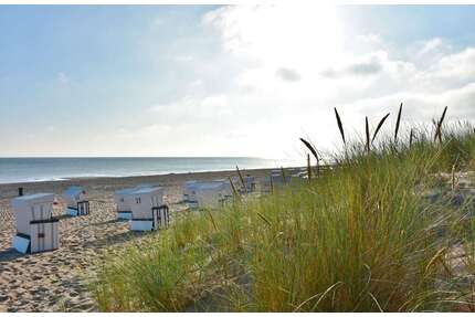 Grundstück zu verkaufen in Trassenheide 179.000,00 € 666 m²