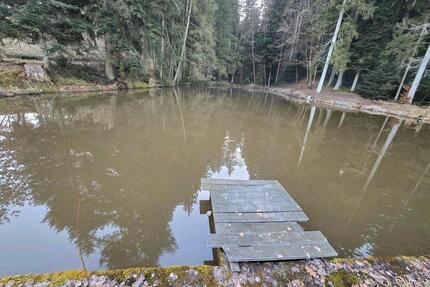 Angel Teich Fischteich Angel Teich Pacht 180€,- mtl 2.160€ - Gschwend