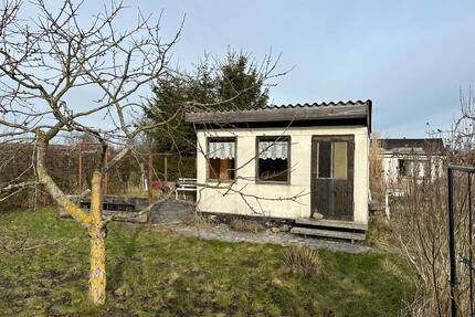Kleingarten 300m² Schrebergarten Pachtgarten Garten nähe Ryck - Greifswald