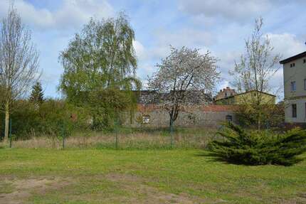 Grundstück zu verkaufen in Maasdorf 20.000,00 € 1562 m²