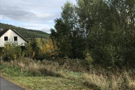 Feines kleines Grundstück mit Südausrichtung im Edertal in Bad Berleburg - Schwarzenau