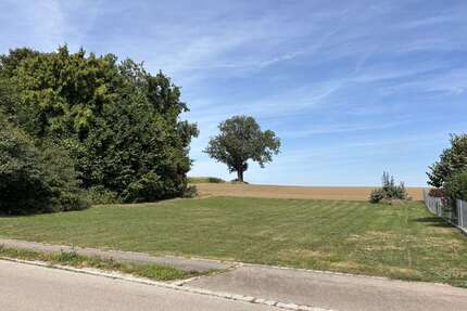 Grundstück zu verkaufen in Aichach Oberbernbach 560.000,00 € 688 m² - Aichach / Oberbernbach