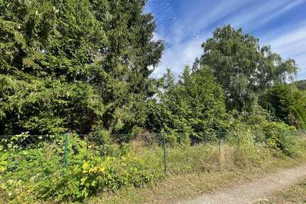 Grundstück zu verkaufen in Eutin 250.000,00 € 781 m²