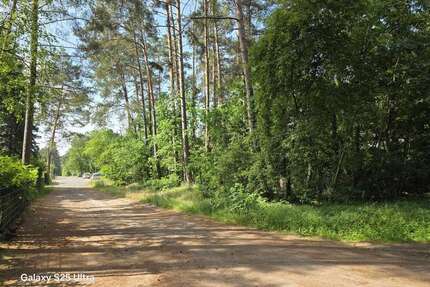Grundstück zu verkaufen in Borkheide 155.000,00 € 1234 m²