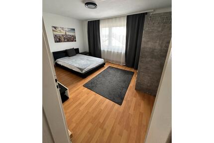 Modernisierte, möbelierte und helle 2-Zimmer Wohnung - Ludwigshafen am Rhein Mundenheim
