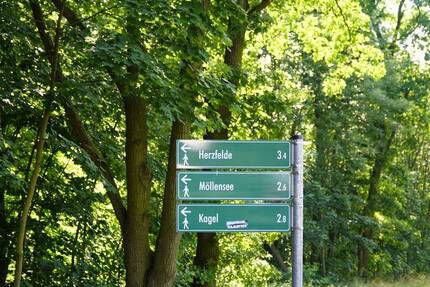 Bauland für 40 Einfamilienhäuser Doppelhaushälften Nähe Tesla Gigafactory - Rüdersdorf Lichtenow