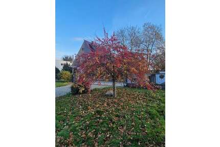 Grundstück zu verkaufen in Dresden 299.000,00 € 1000 m²