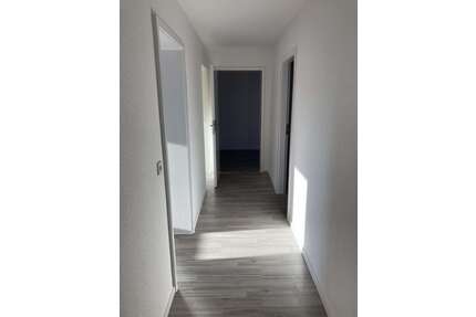 Wohnung zum Mieten in Salzgitter 390,00 € 56 m²