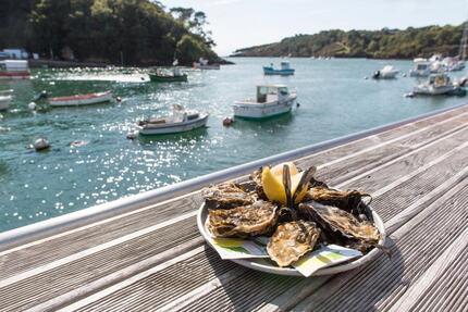 Bretagne Ferienhaus Sauna Sommerwochen frei Nähe Meer modern - Köln Innenstadt