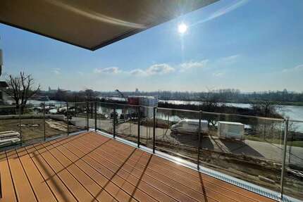 Wohnung zum Mieten in Dresden 2.220,00 € 119.4 m²