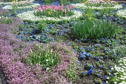 4-Familien-Doppelhaushälfte - 450.000,00&nbsp;EUR Kaufpreis, ca.&nbsp; 300,00&nbsp;m&sup2;&nbsp;Wohnfl&auml;che in Creuzburg (PLZ: 99831)