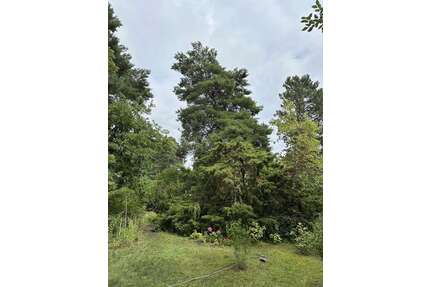 Grundstück zu verkaufen in Berlin 368.000,00 € 1022 m²