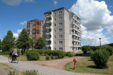 Wohnung zum Mieten in Stralsund 306,04 € 43.72 m²