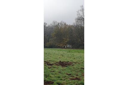 7000qm PferdekoppelFreizeitgrundstück in Pirmasens zu verpachten