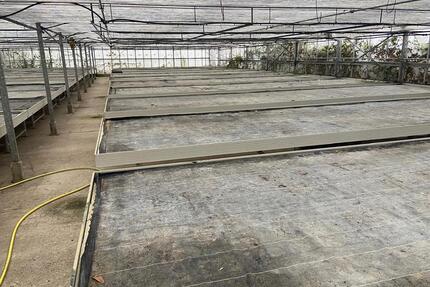 Vermietung Glasgewächshaus für Lagerung, Workshop, Pflanzenzucht - Preetz