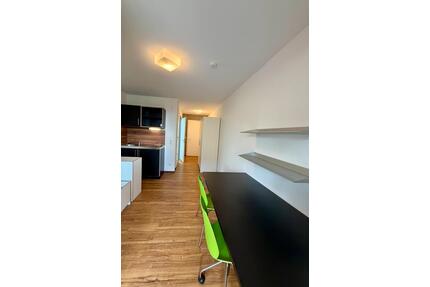Modernes möbliertes 1-Zimmer-Apartment auf der ERBA-Insel ab Jan - Bamberg Gärtnerstadt