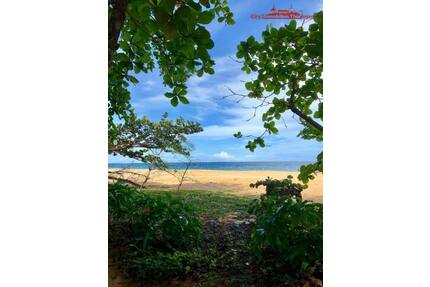 Grundstück in Costa Rica in einer der blauen Zonen der Erde - Köln