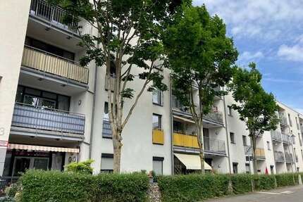 Wohnung zum Mieten in Hattersheim 990,00 € 73 m²