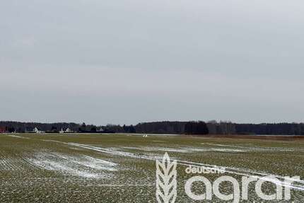 Grundstück in Loitz 19.900,00 € 13703 m²