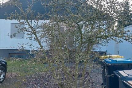 charmanter sonniger Bungalow - mit Garage und Terrassen - Hille