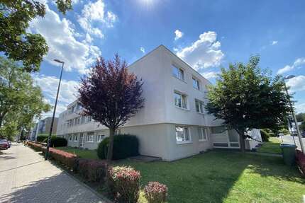 Wohnung zum Mieten in Düren 590,00 € 56 m²
