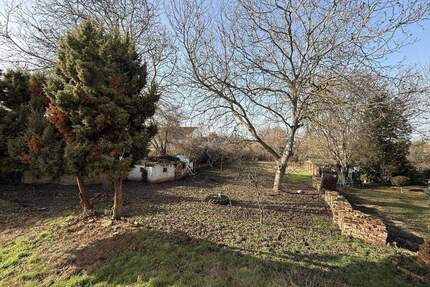 Grundstück mit Entwicklungspotenzial - Halberstadt