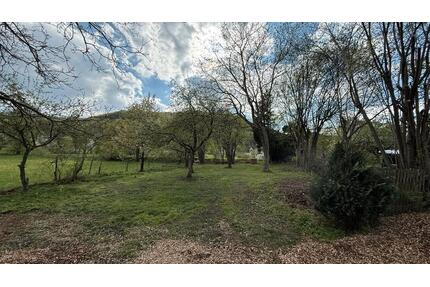 Tolle Wiese Freizeitgrundstück Garten zu verpachten - Lenningen