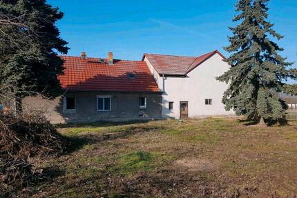 Bauernhof,Scheune,12ha Acker,Wiese,Wald 2x Baugrund a 1000qm - Plessa