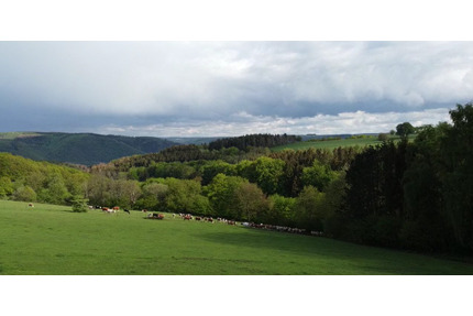 Sonnige Baugrundstücke – 898 bis 1.199 m² mit Weitblick - Simmerath