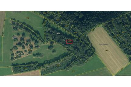 Grundstück Wald Wiese Landwirtschaft Forstwirtschaft - Deggingen