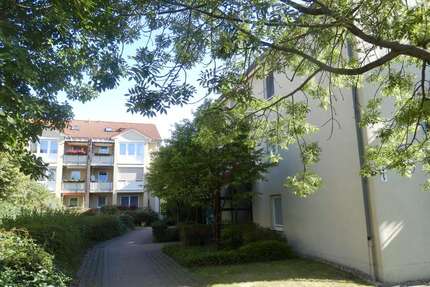 Wohnung zum Mieten in Dresden 634,00 € 75 m²