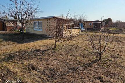 Kleingarten - mit Potential Frohe Zukunft - Halle (Saale)