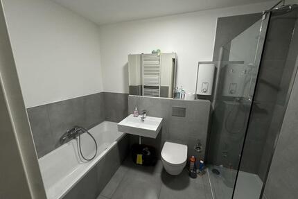 Frisch sanierte 100 m² Erdgeschosswohnung mit Terrasse 3 Schlafzi - Braunschweig Lehndorf-Watenbüttel