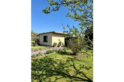 Kleingarten mit festem Haus und Bad (Dusche&WC) - Hohenstein-Ernstthal