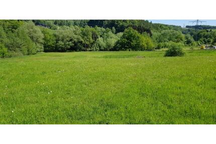 Grünfläche zur Pferde- oder Schafhaltung - Hattingen Blankenstein