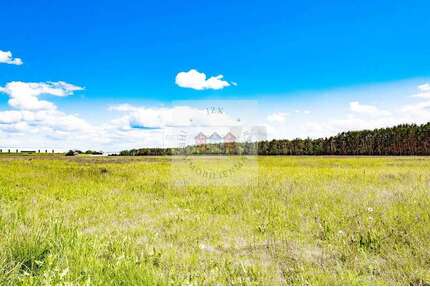 Grundstück in Jessen (Elster) 110.000,00 € 3721 m²