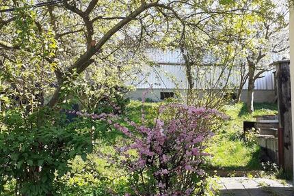 Haus Einfamilienhaus mit Garten nahe Geiseltalsee - Mücheln (Geiseltal)
