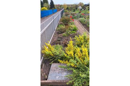 Pachtgarten Delitzsch abzugeben