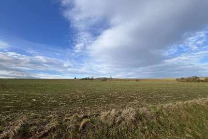 Grundstück in Bad Berka 15.000,00 € 55198 m²