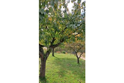 Kleingarten in Wolgast - 3.000,00&nbsp;EUR Kaltmiete, ca.&nbsp; 0,00&nbsp;m&sup2; in Karlshagen (PLZ: 17449)