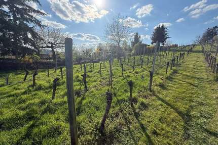 Grundstück zu verkaufen in Stuttgart 22.000,00 € 615 m²