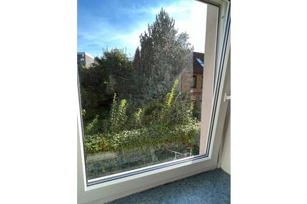 Sanierte 1- Zimmerwohnung ( möbliert ) Nähe Inselwall-Park - Braunschweig Lehndorf-Watenbüttel