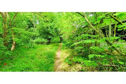 Lost Places & Naturidyll, perfekte Lage für Ferienunterkünfte! - Havelberg