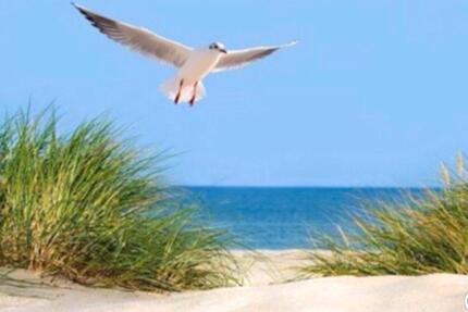 EXKLUSIVES und modernes Wohnen zwischen der Nord&Ostsee. - Großenwiehe