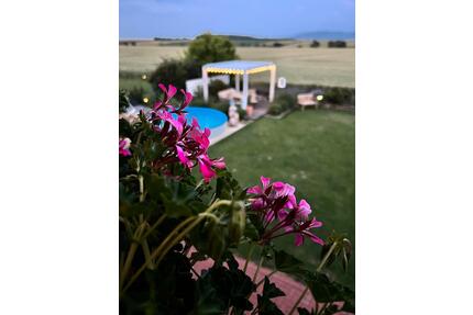 Modernes Haus am Feldrand mit Garten, Pool & Kamin – 7 Zimmer - Goslar Jürgenohl