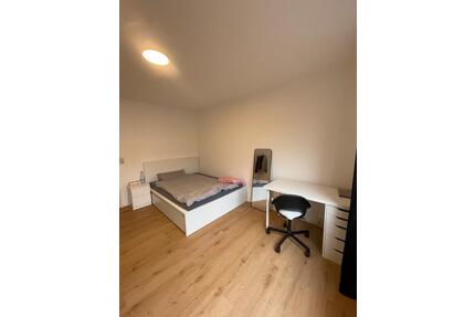 Möblierte Einzimmerwohnung - 465,00&nbsp;EUR Kaltmiete, ca.&nbsp; 23,00&nbsp;m&sup2; in Landau in der Pfalz (PLZ: 76829)