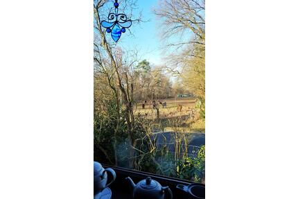 Hannover gefragte Lage Haus mit 2 Wohnungen Garten Bothfeld