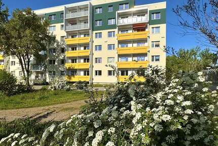 Wohnung zum Mieten in Halle 270,00 € 31.26 m²